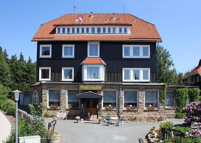 Haus Duemling Hotel Braunlage photo