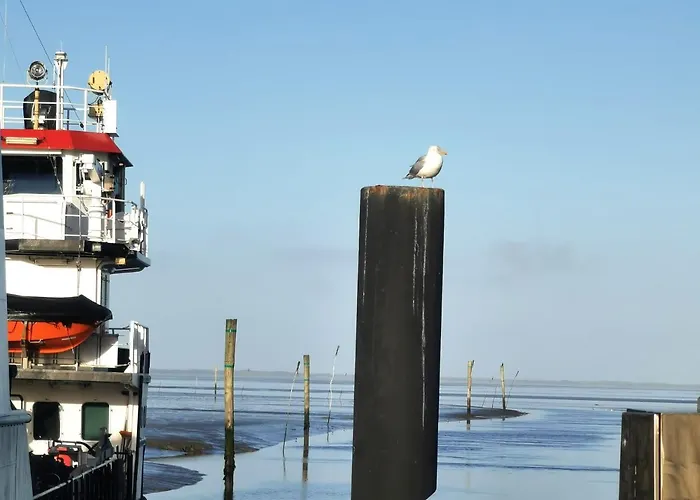 Ferienwohnung 1 Nordsee Gulfhof Dornum - Mit Grossem Garten Roggenstede照片
