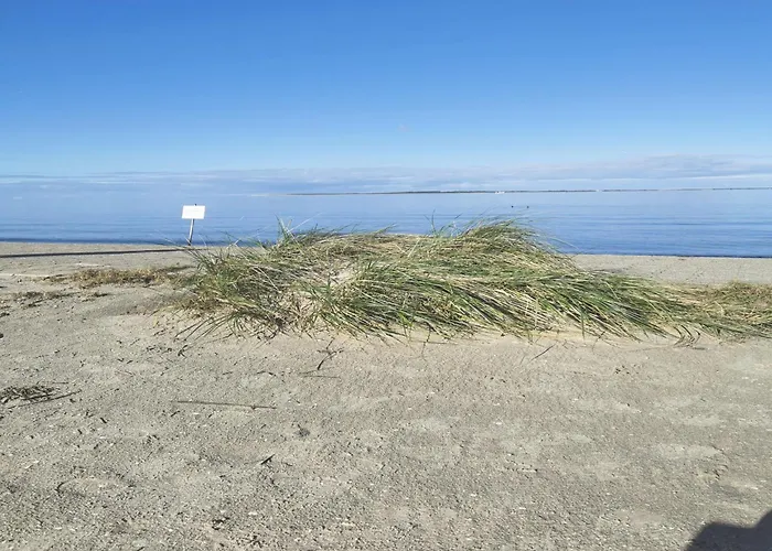 Nordsee Gulfhof Dornum - Ferienwohnung Mit Grossem Garten Roggenstede photo