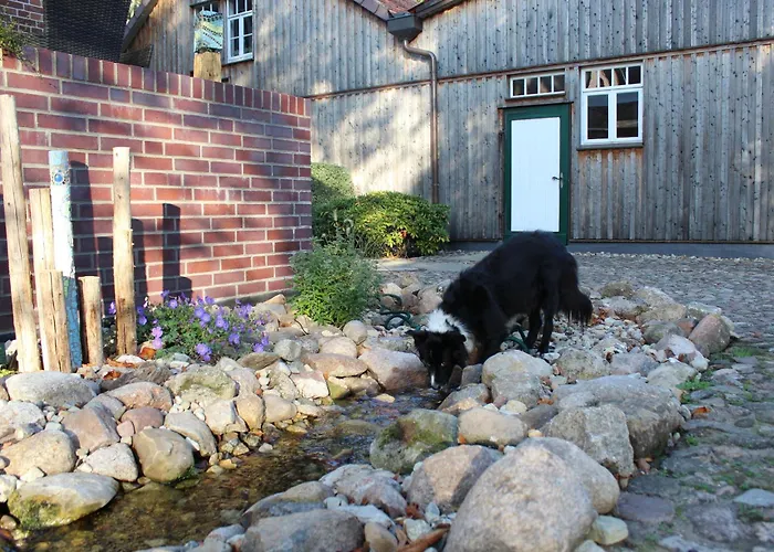 Landgasthof Wildwasser Wolthausen photo