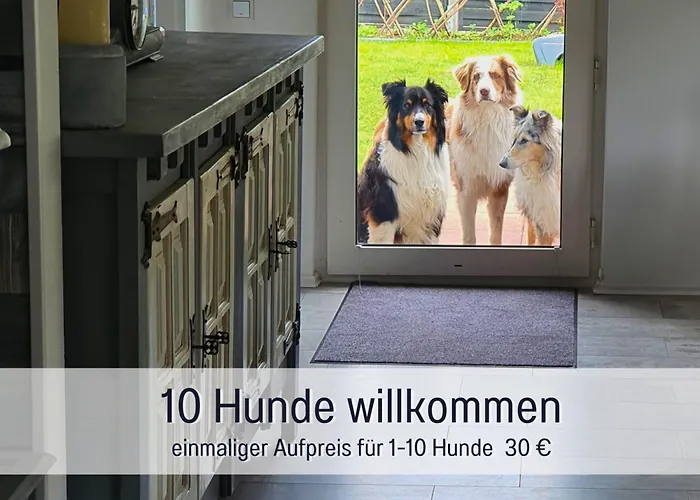 foto di Ferienhaus Odisheim - Hunde Herzlich Willkommen - Hoher Zaun - Terrasse Mit Ueberdachung - Familienfreundlich