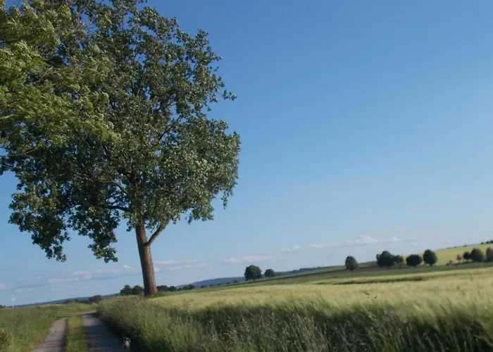 Bungalow Im Feriendorf Uslar Mit Gartenterrasse képek