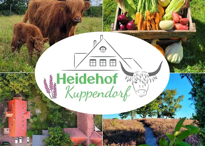 Heidehof Kuppendorf Appartement Kirchdorf  foto