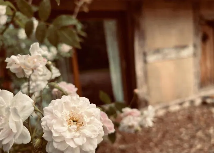 Gaestehaus Auf Idyllischem Fachwerkhof Im Duemmer-Weserland, Sauna Optional Eydelstedt foto