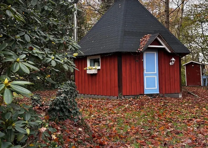 Finnish Kota Twist foto