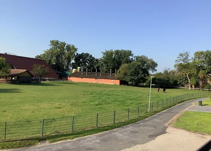 Apartment Huemmling By Interhome Borger Foto