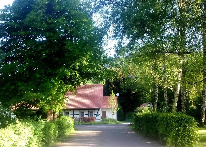 Fuchsrevier Fox District Apartment Erkerode zdjęcie