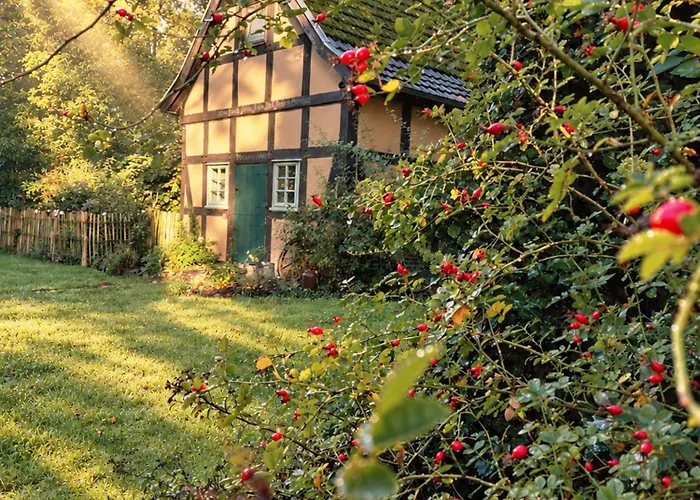 Fachwerkhof Donstorf: Idyllic Nature Retreat with Crane Watching Eydelstedt photo