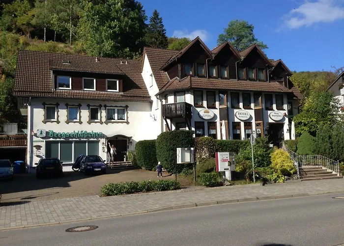 Hotel Bergschlosschen Zorge photo